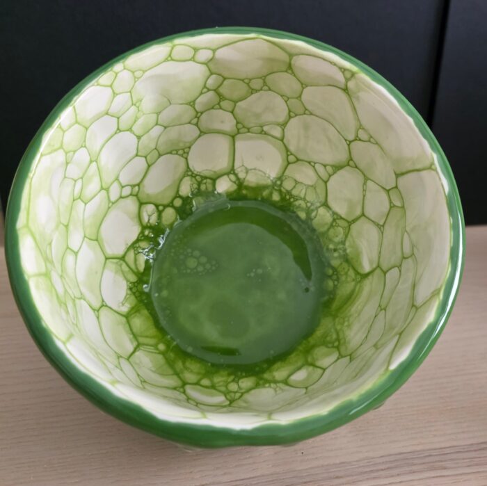 Kaktus Schale