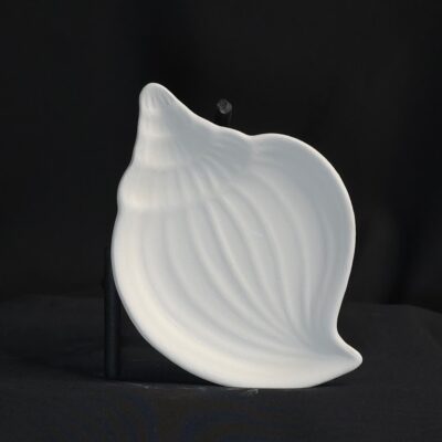Muscheltellerchen