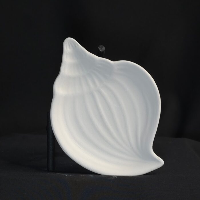 Muscheltellerchen